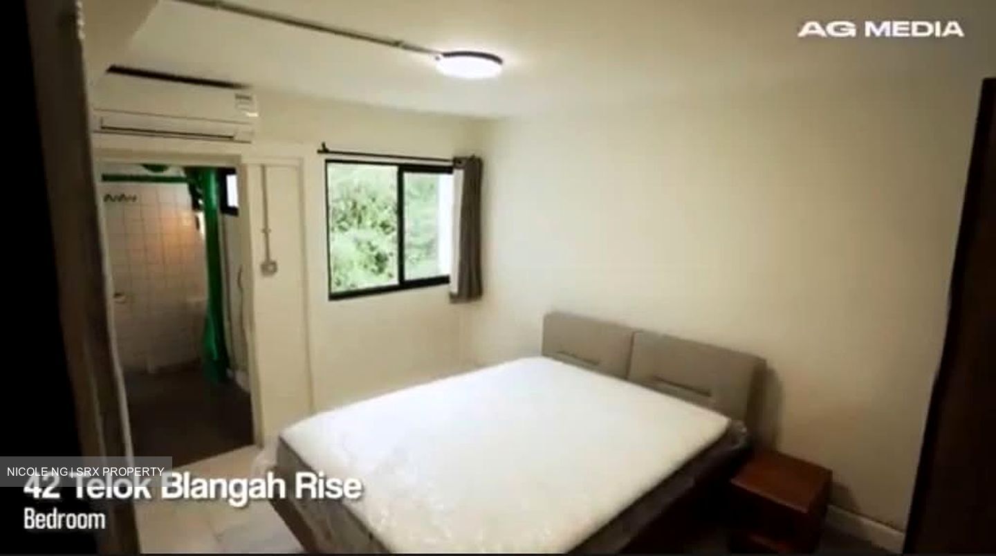 Blk 42 Telok Blangah Rise (Bukit Merah), HDB 3 Rooms #594885251